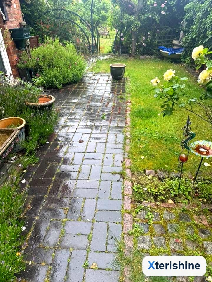 Before — Garden path & patio clean