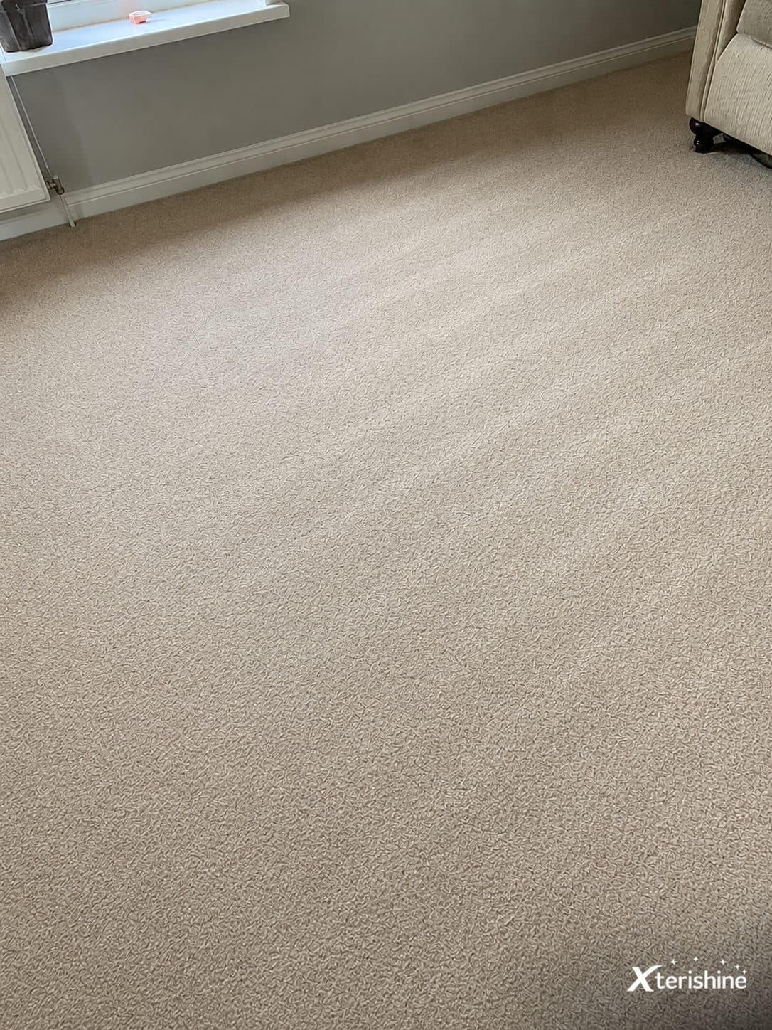 Carpets, rugs & upholstery